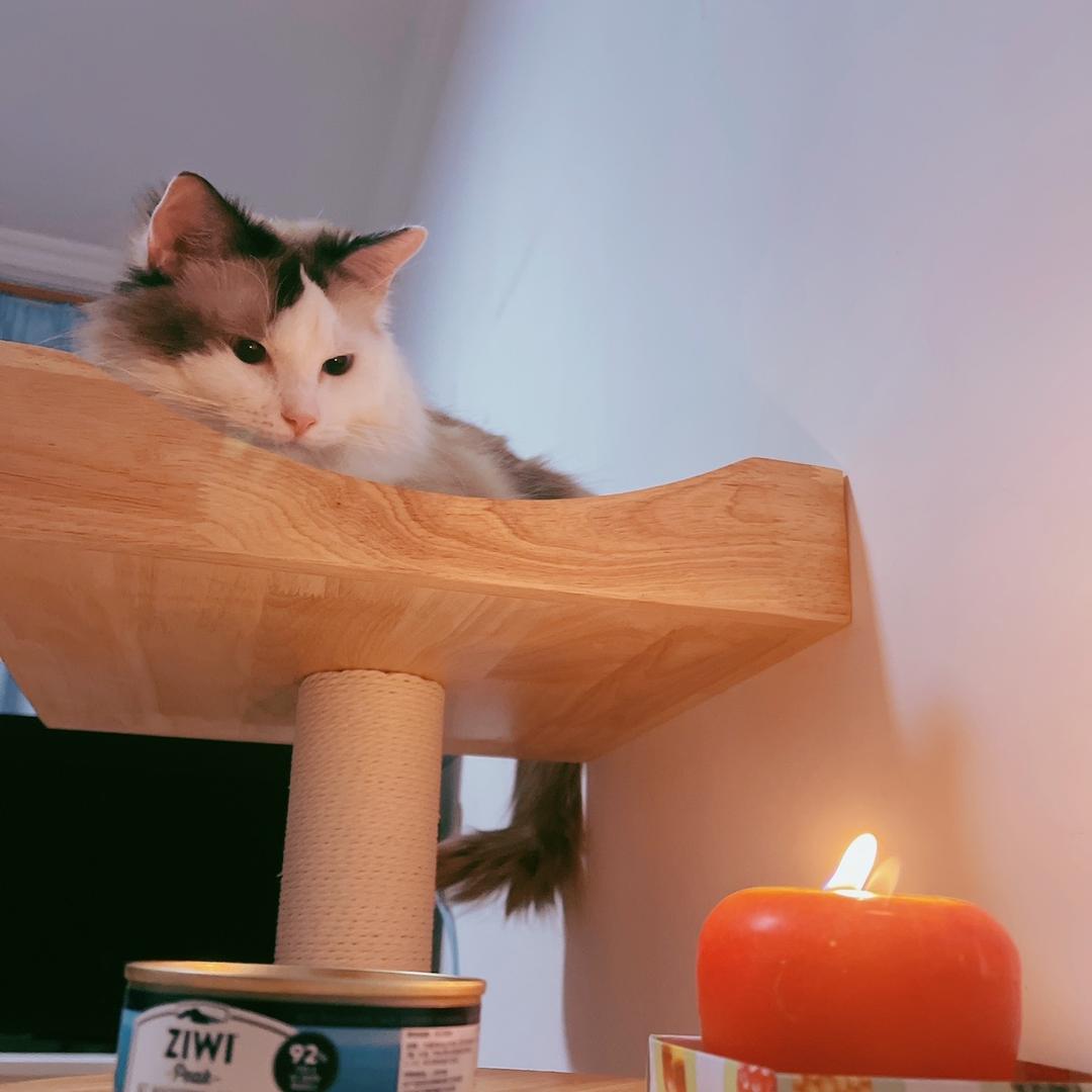 老刘的晚年生活