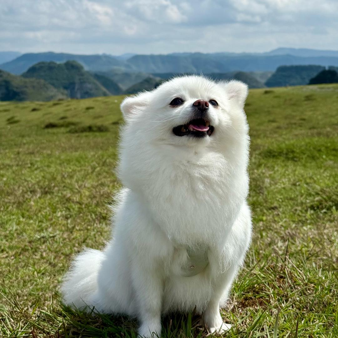 ;)