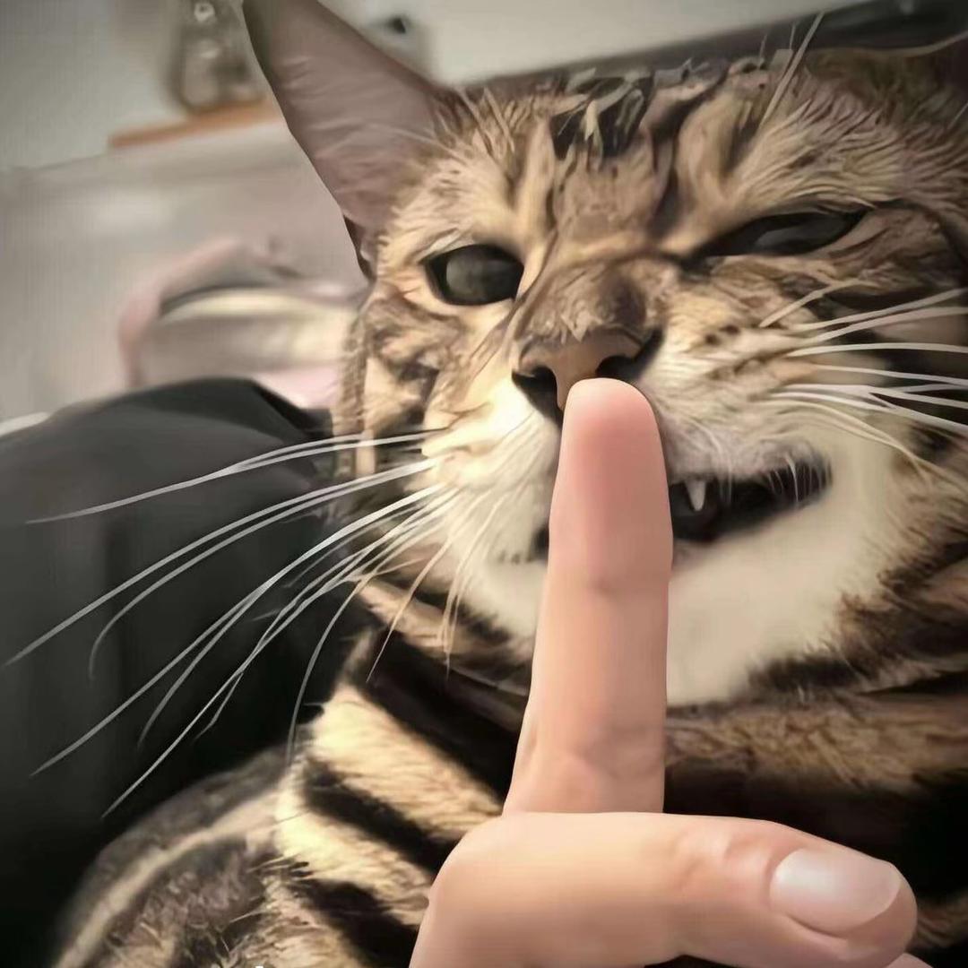 zmxgdx