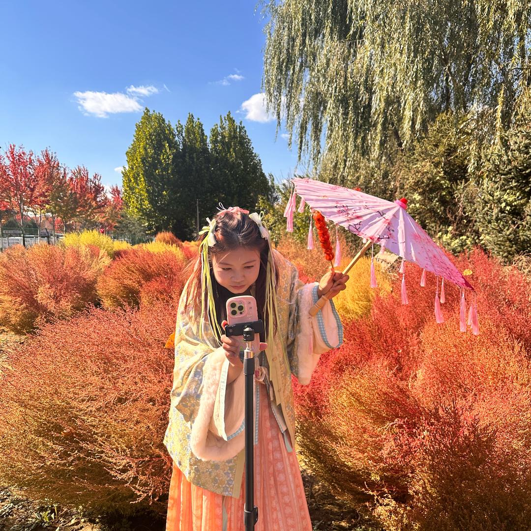 🌈逐渐迷失🌈