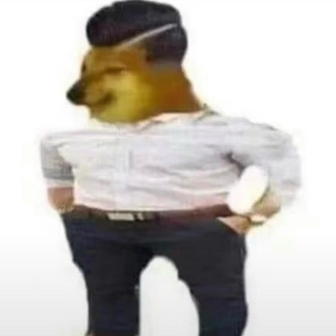 李新海