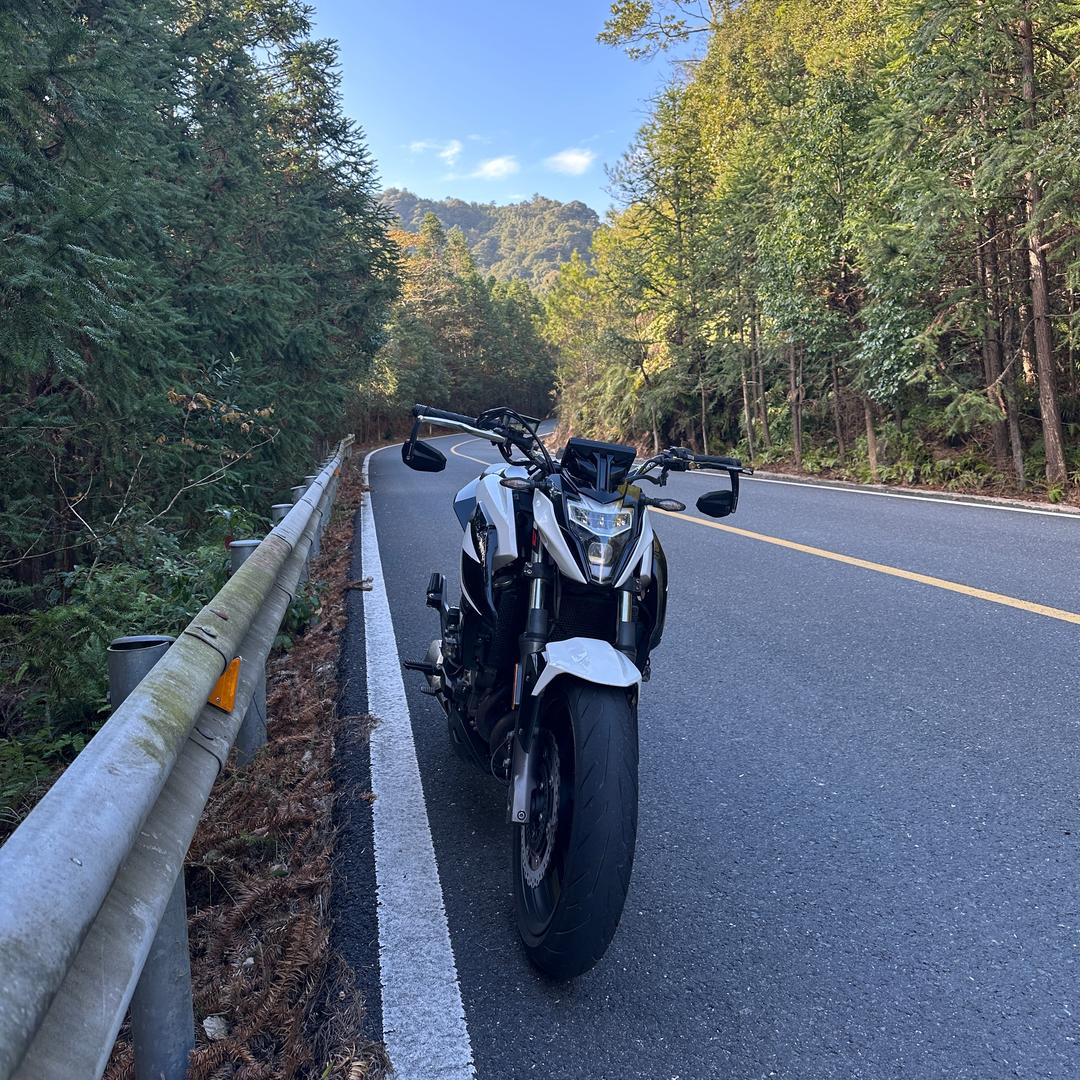 𝑳𝑬𝑿𝑰𝑵𝑮