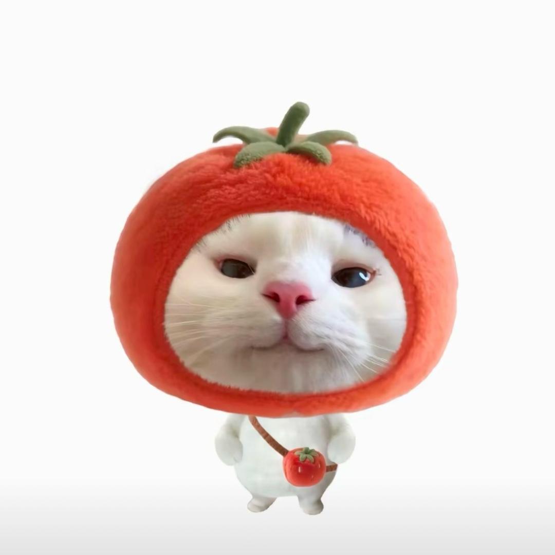 AAA建材张哥不爱吃香菜