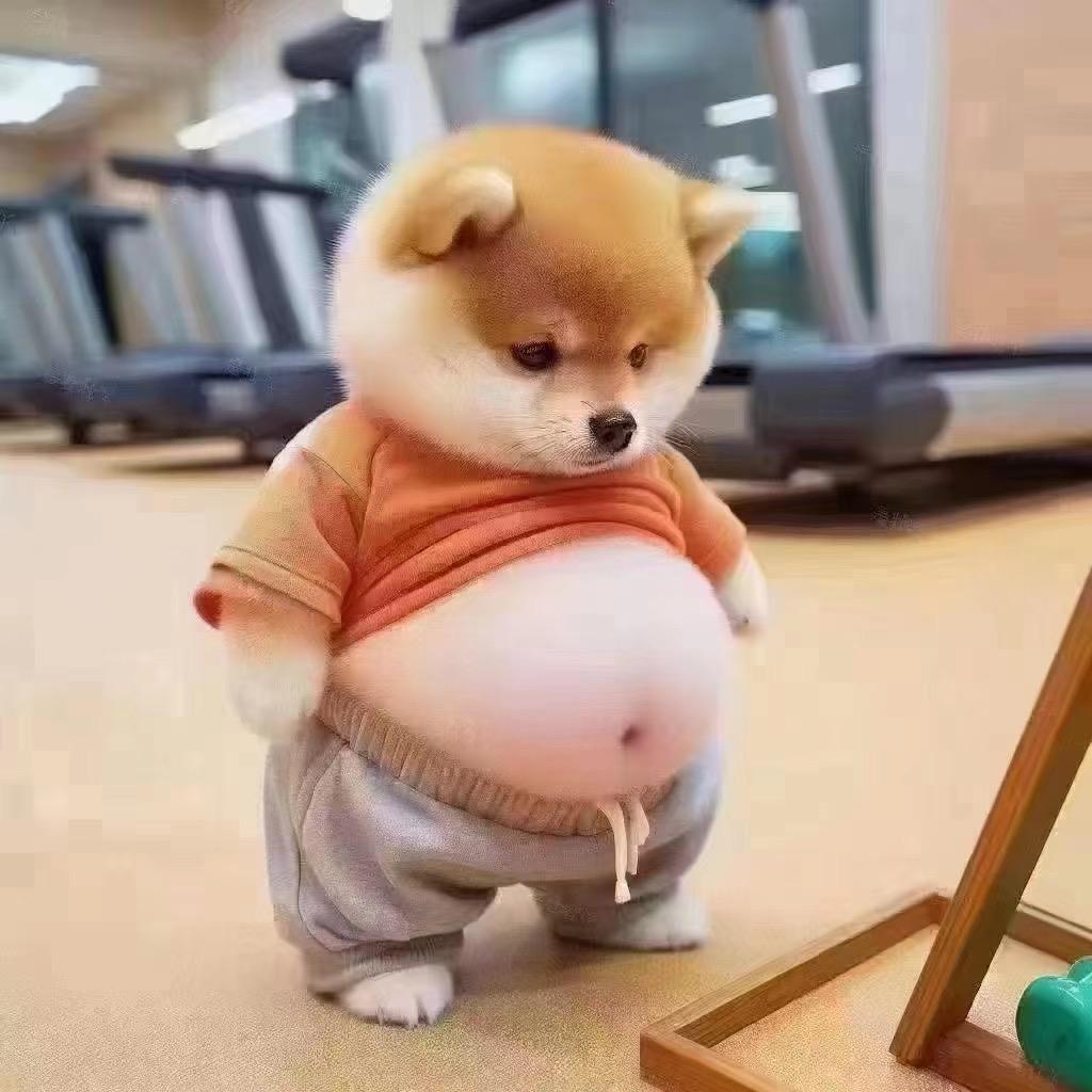 东鹏特饮  K2船长