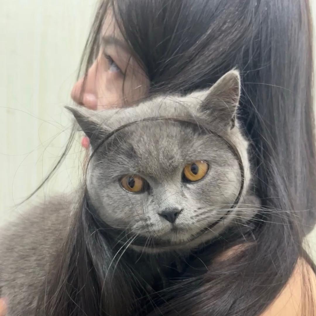 尔尔