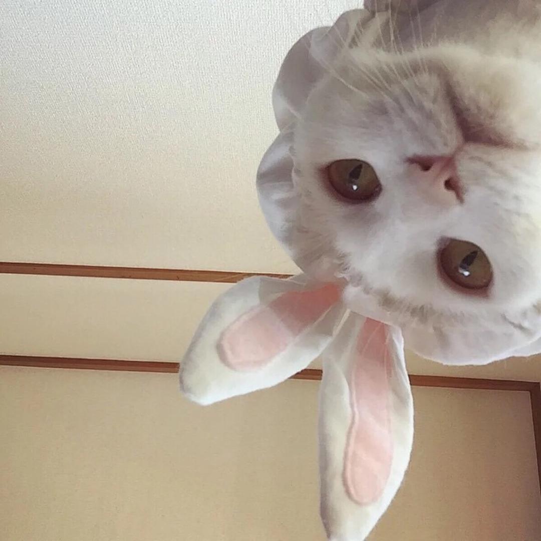 Vivi古着屋