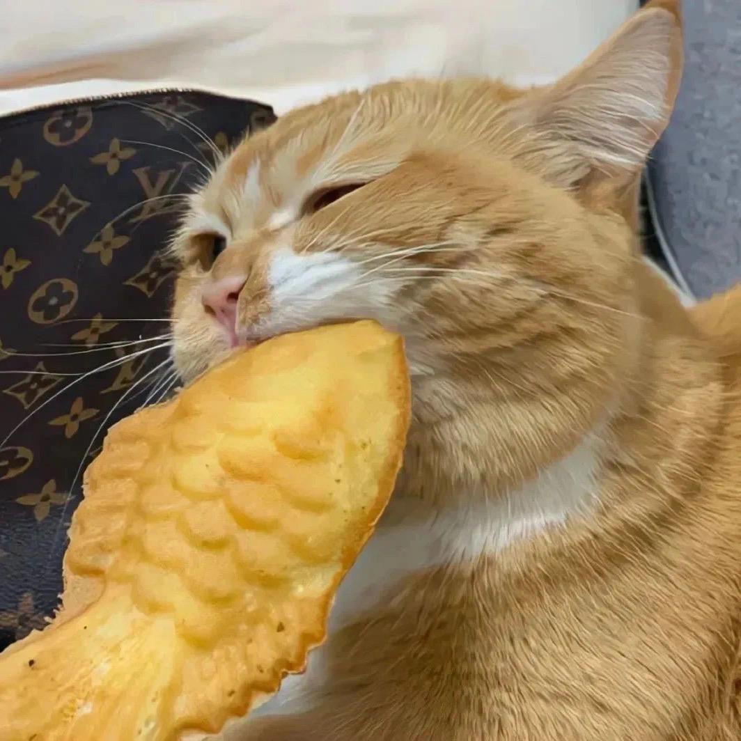 圈圈最爱甜甜圈