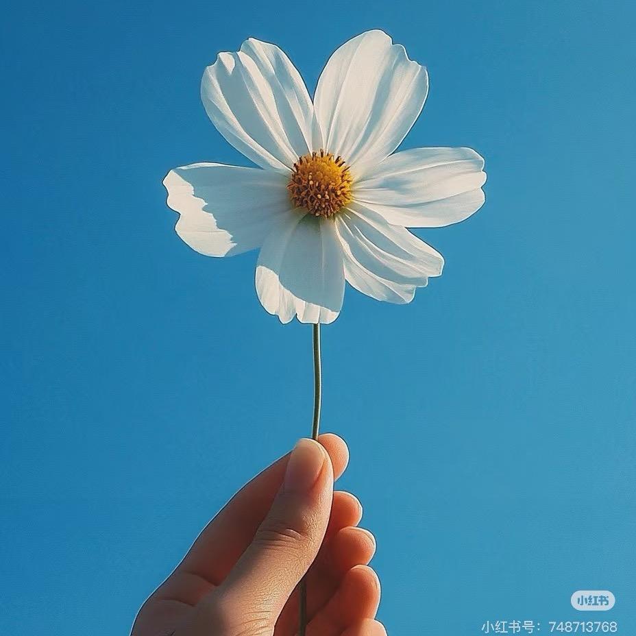 朝朝暮暮、