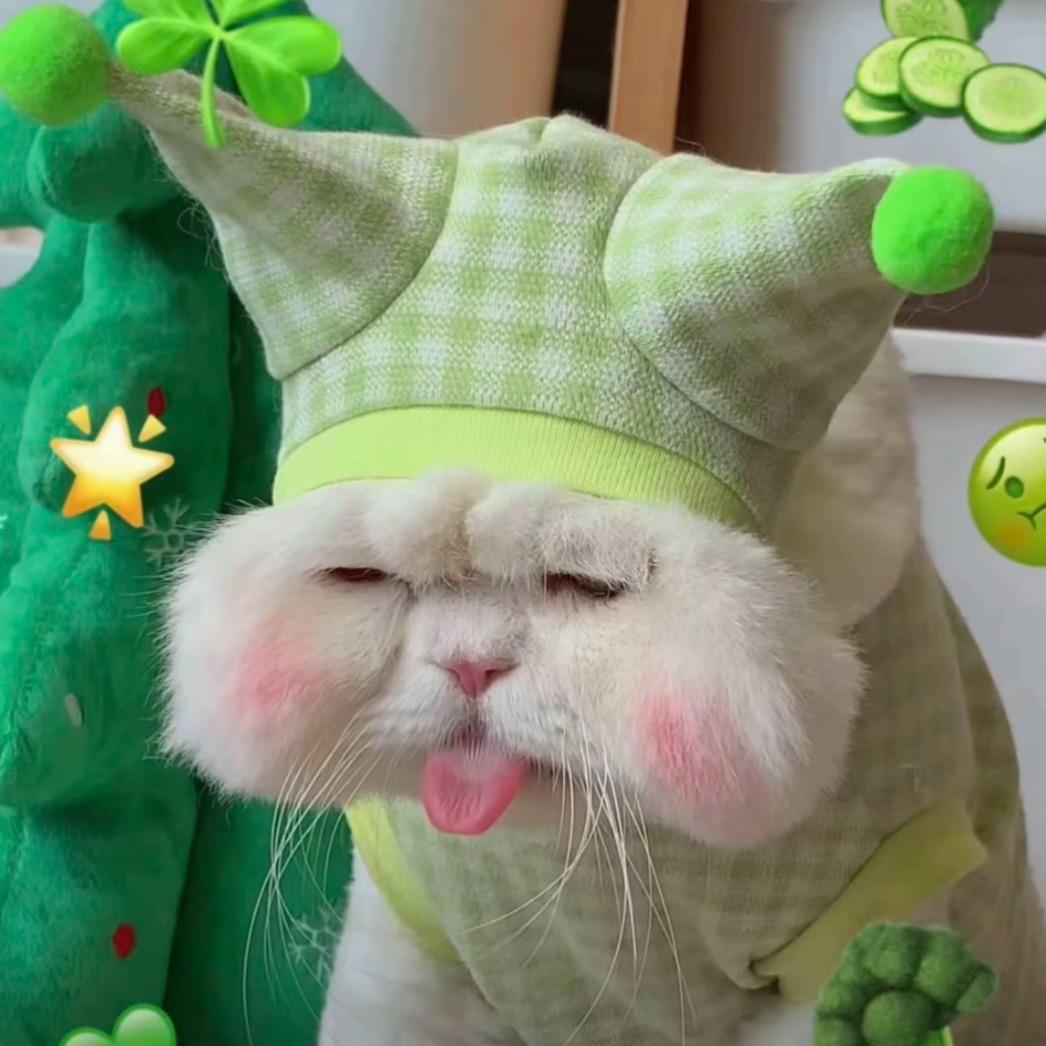 椰泡