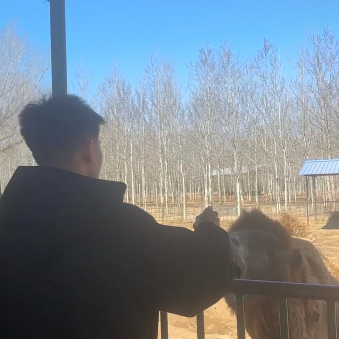 👽👽👽👽👽👽