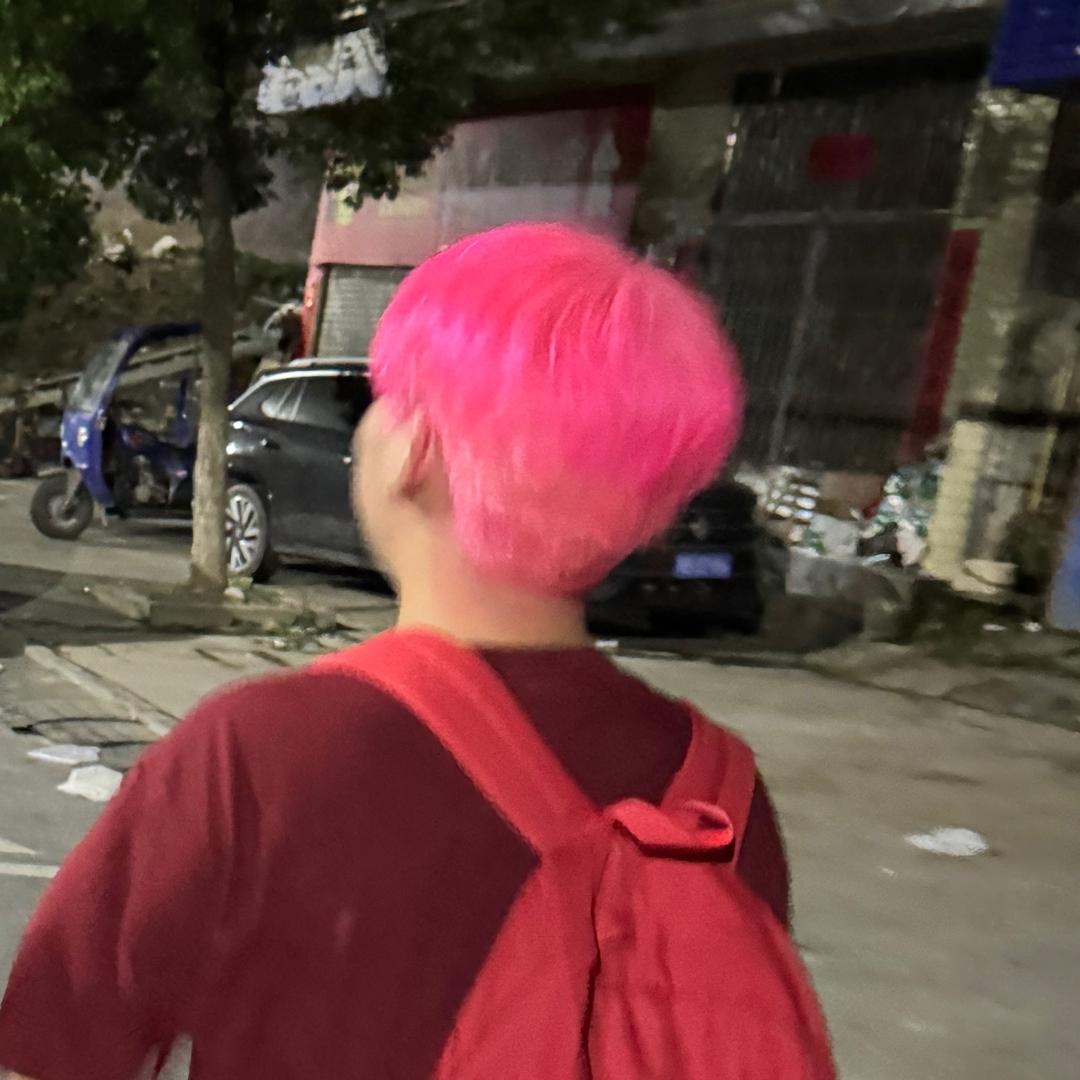 s1左