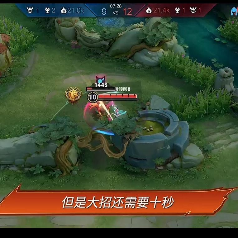 玥哥（王者荣耀全能型选手）