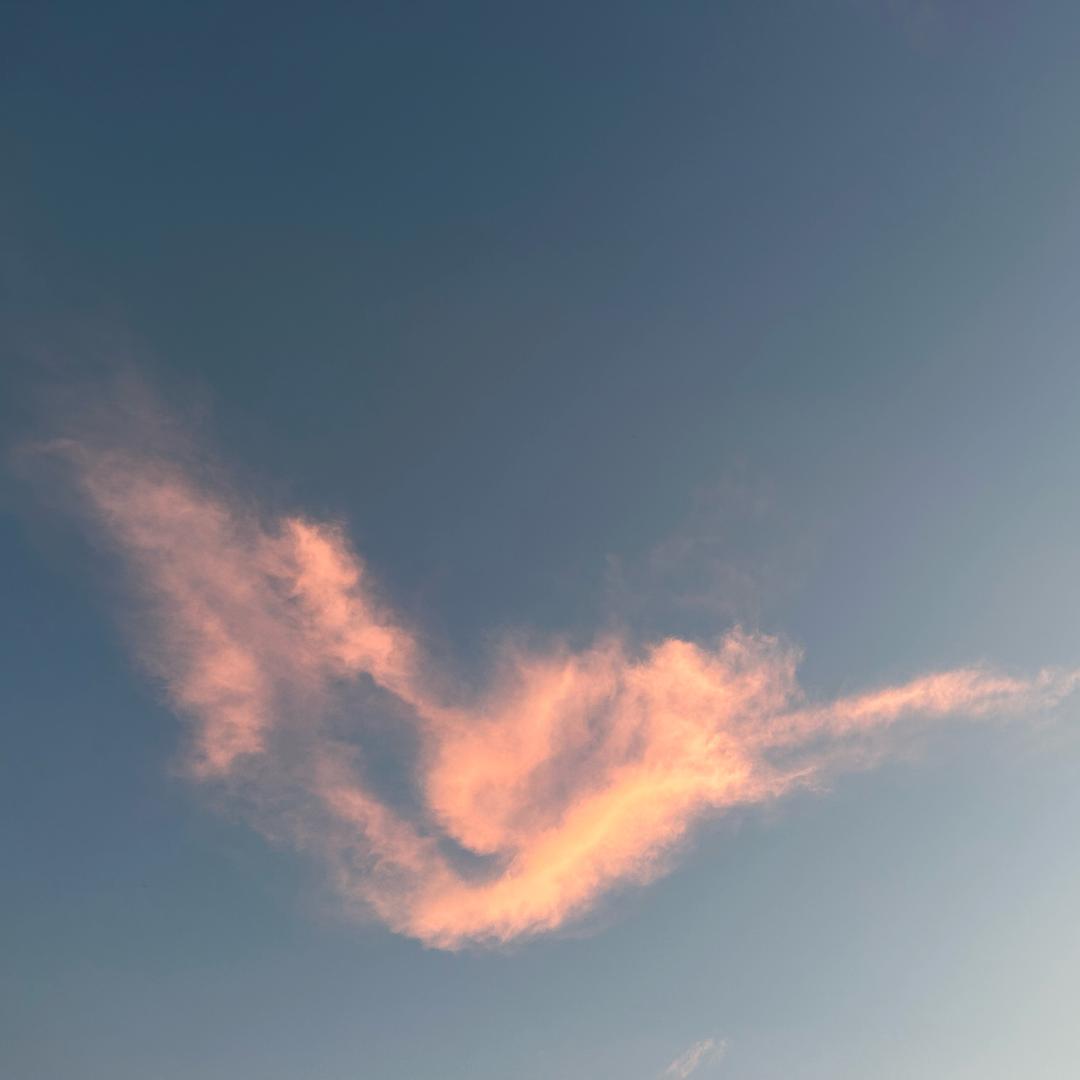 剧本
