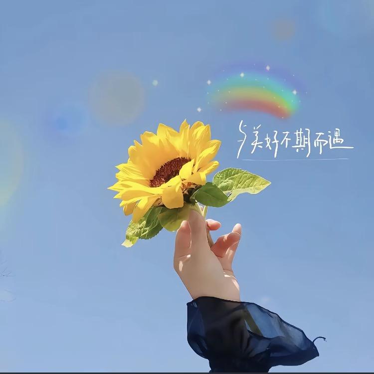匆匆又夏天。
