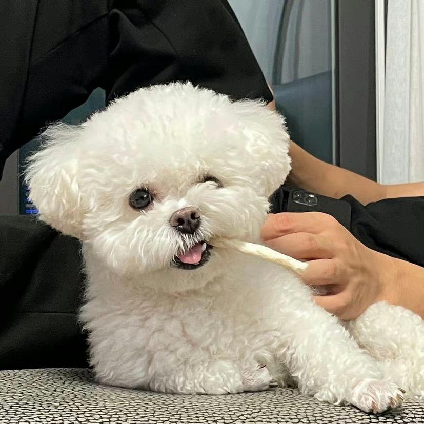 毛毛大王