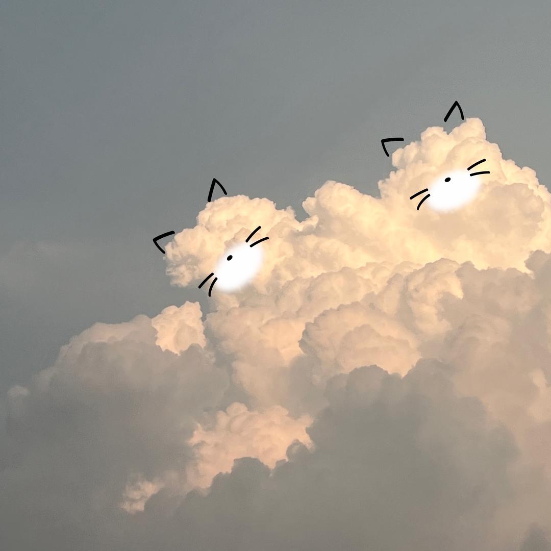 请冷静