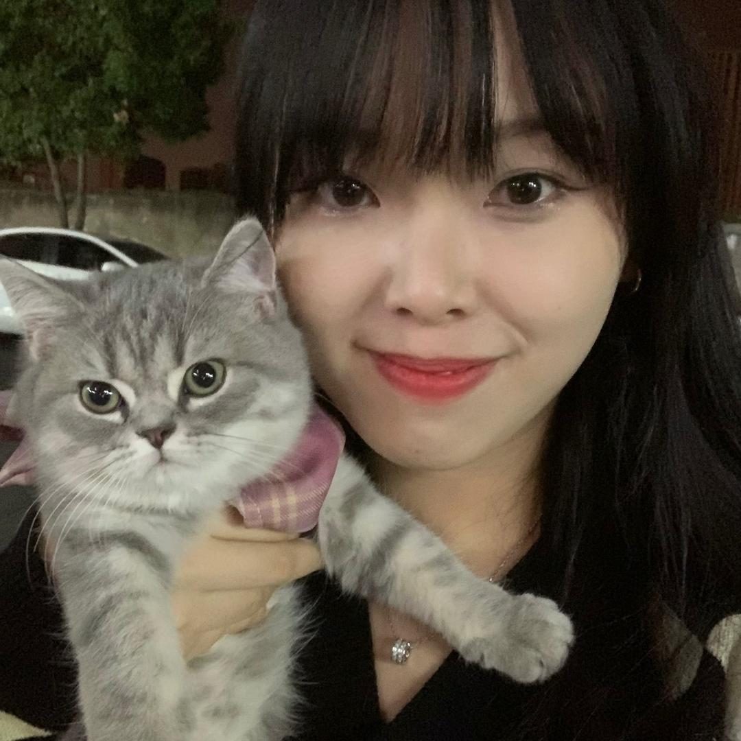 陈陈.