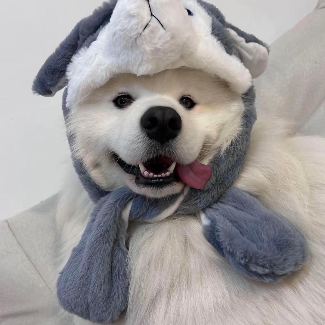 人间烟火