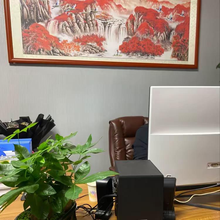 二丫头🧚‍♀️