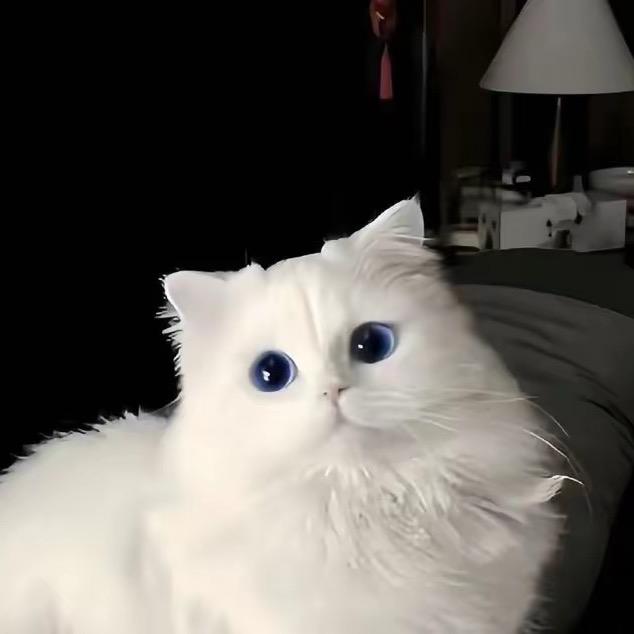 同心圆