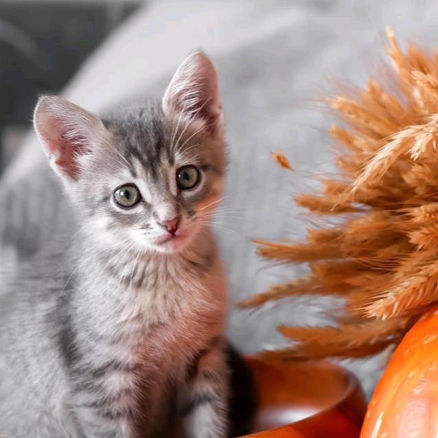 世界很美，就像你一样！