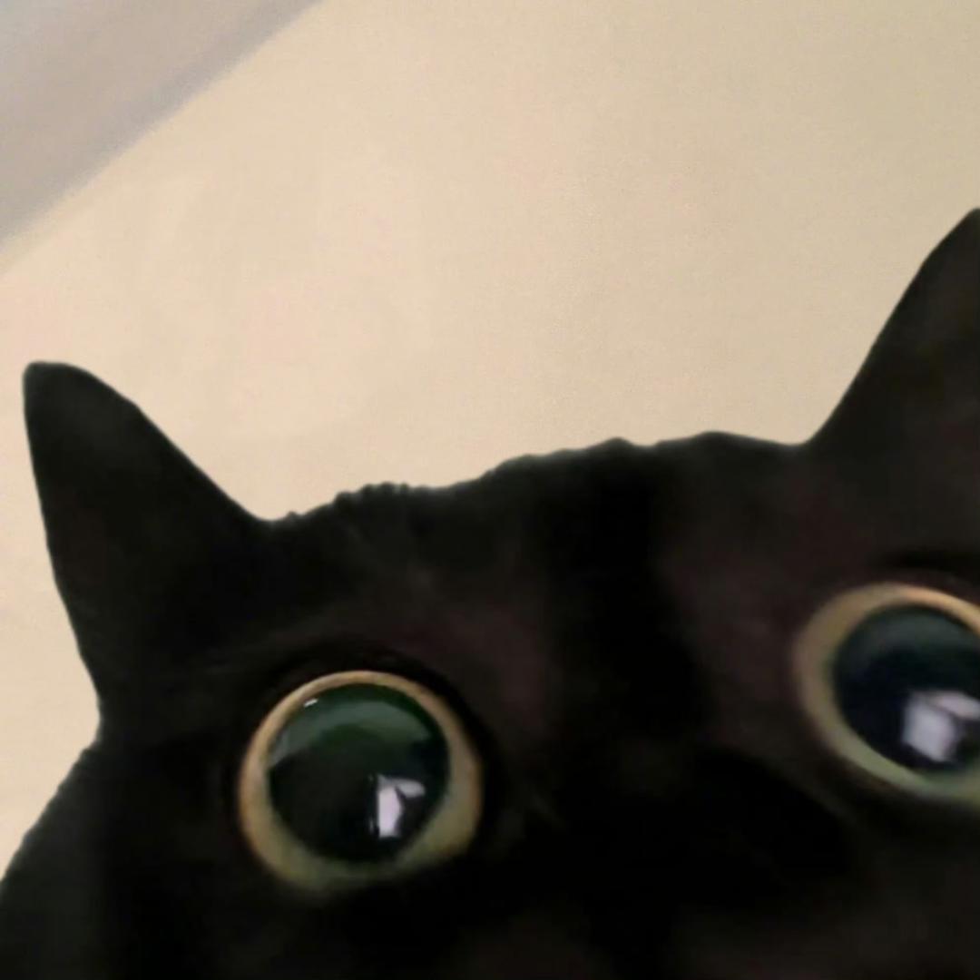 Y..