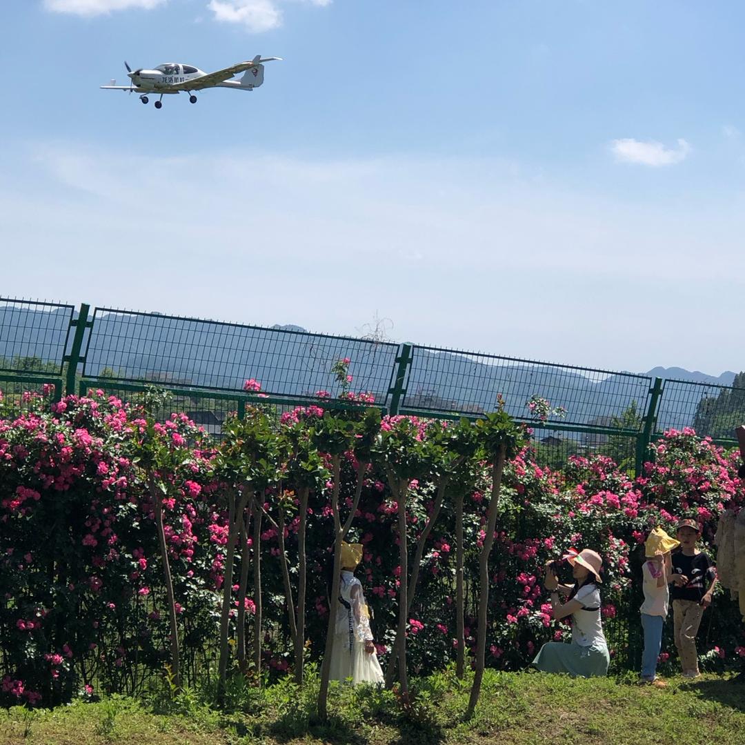 ฅ՞•ﻌ•՞ฅ海阔天空