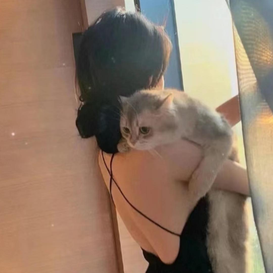 西伯利亚花果山社恐蕾丝性感大母猴