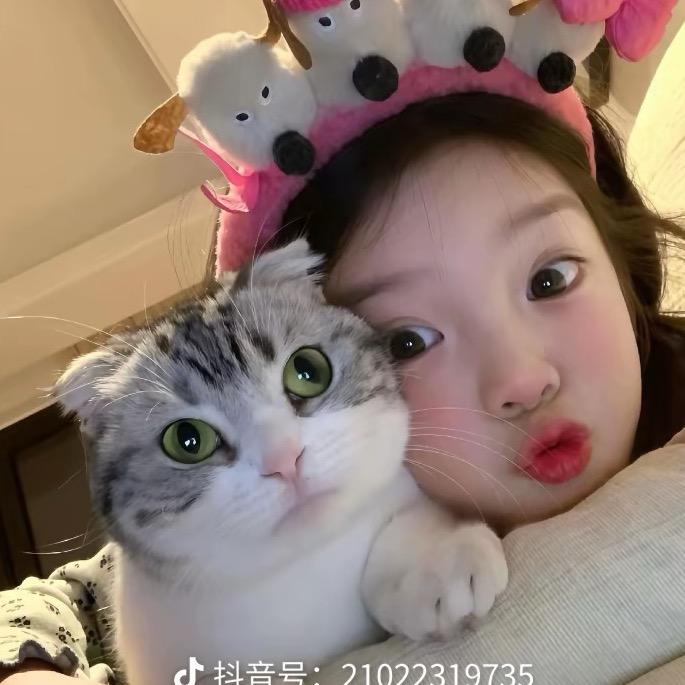 高冷小鲨鱼🥰