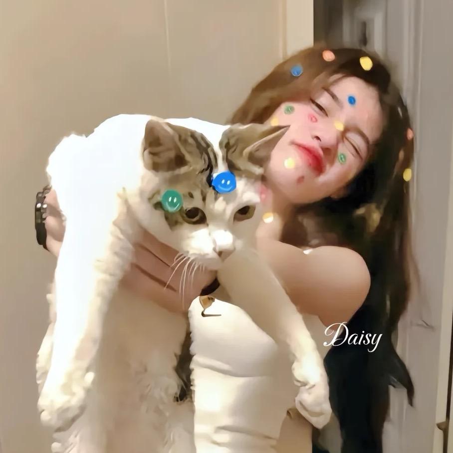 小新呀