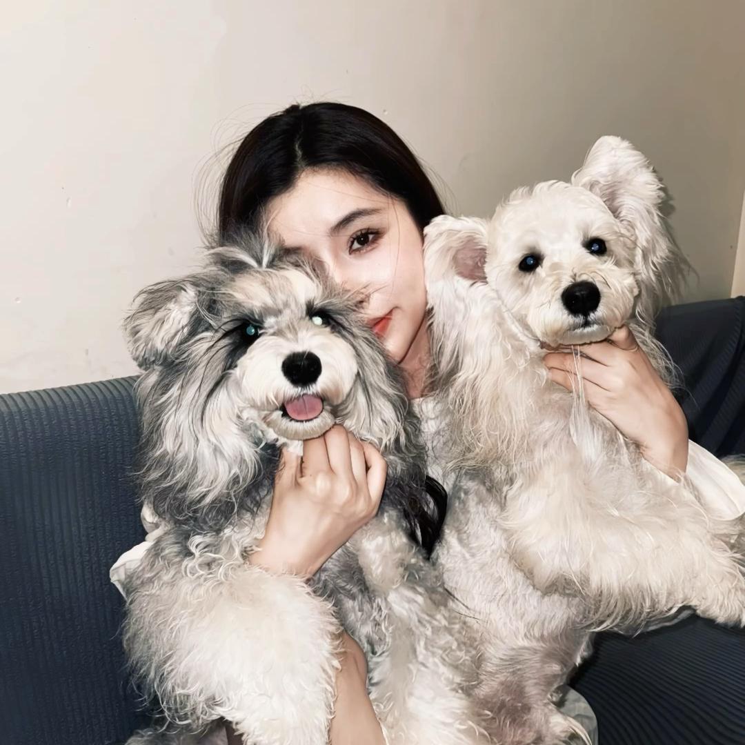 鲁班&十二