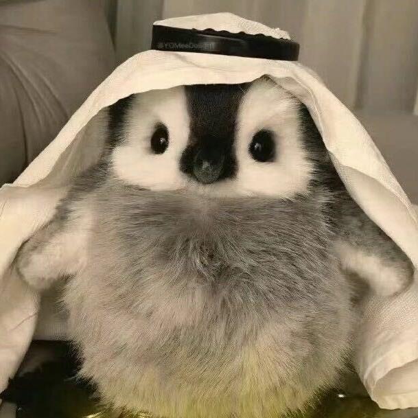 心动💘（三角洲行动）