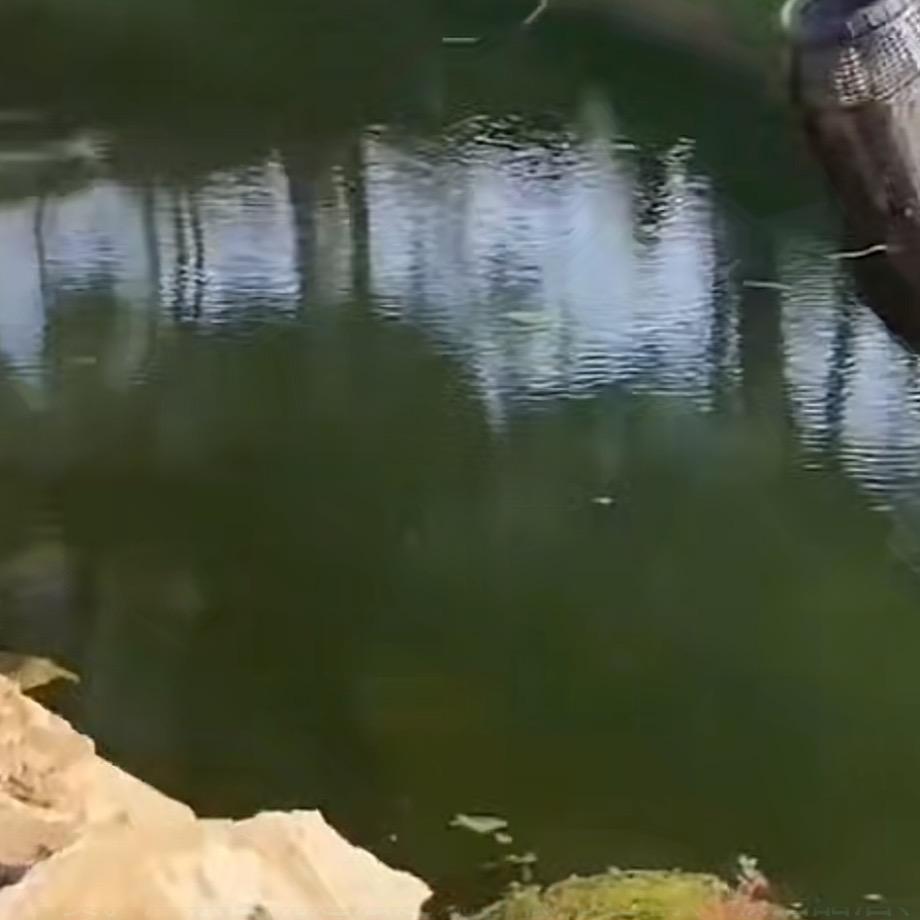 银老板百货