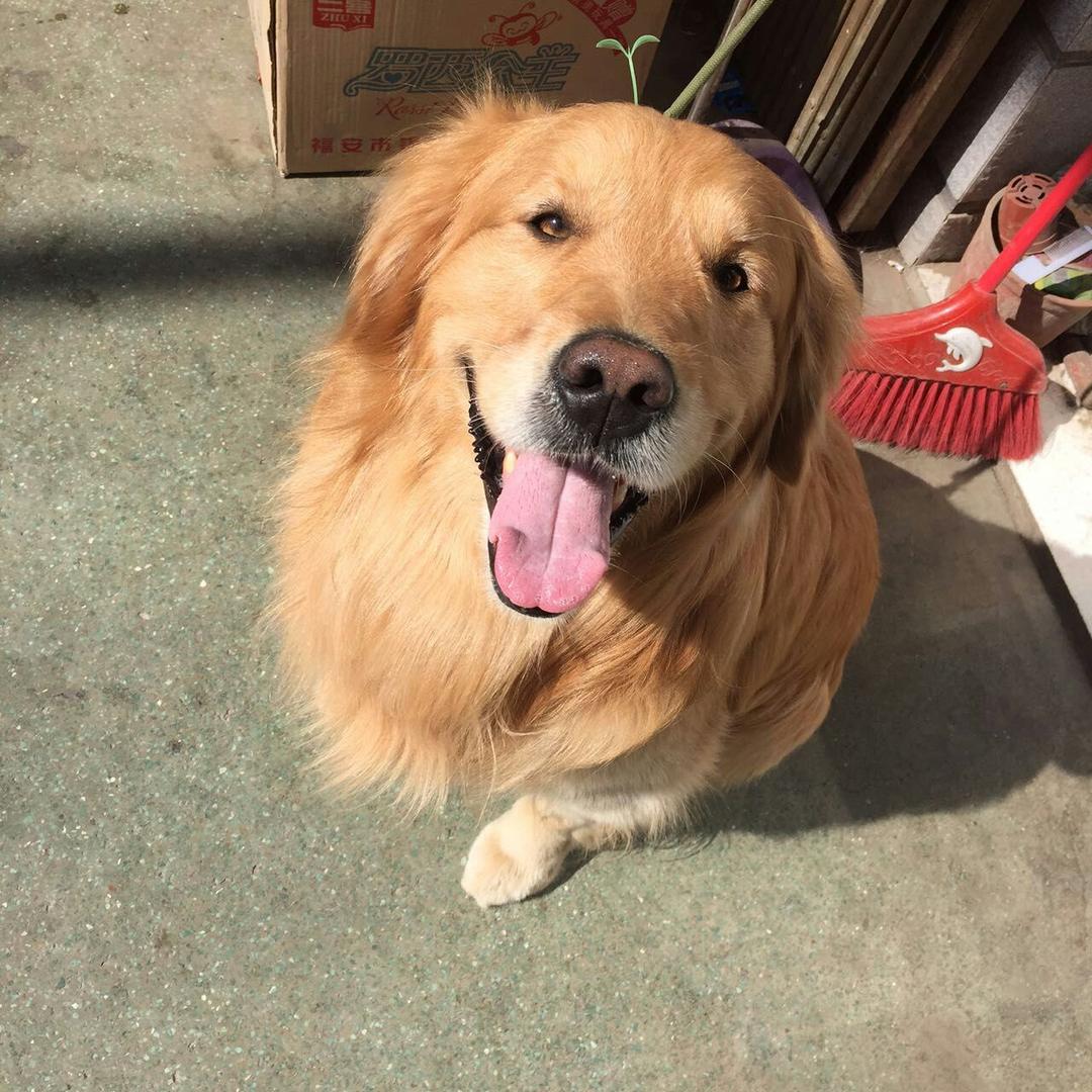 全宇宙幸运平安喜乐大王💰旺旺旺