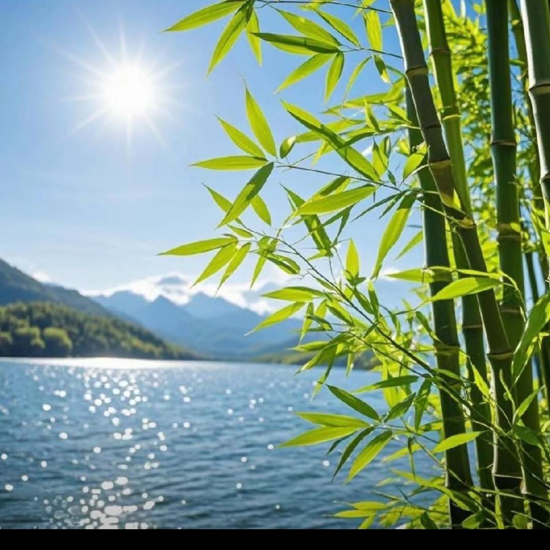 花不语   笑安然