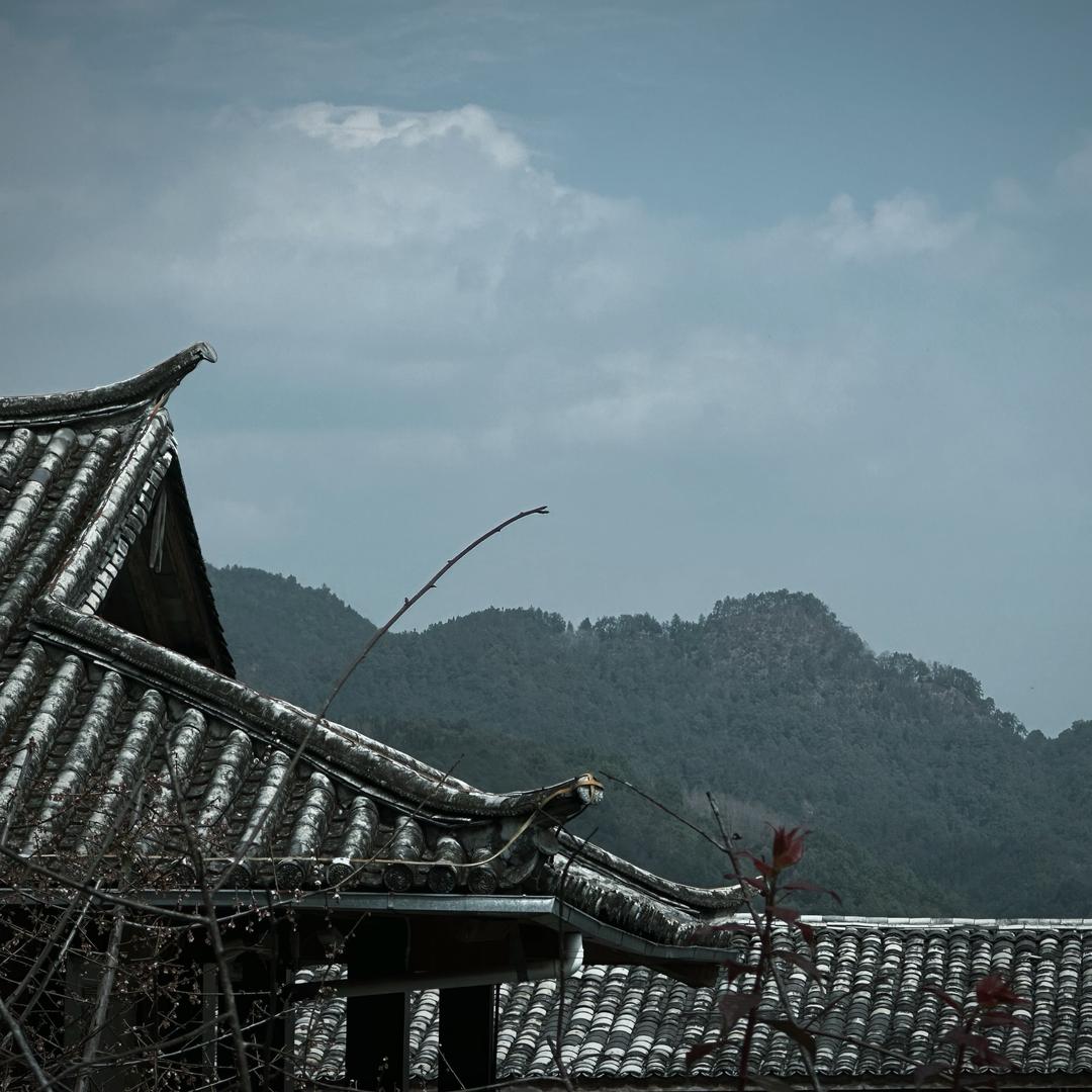 合