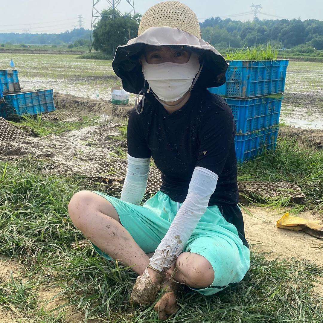 迎着风向出发养龙虾