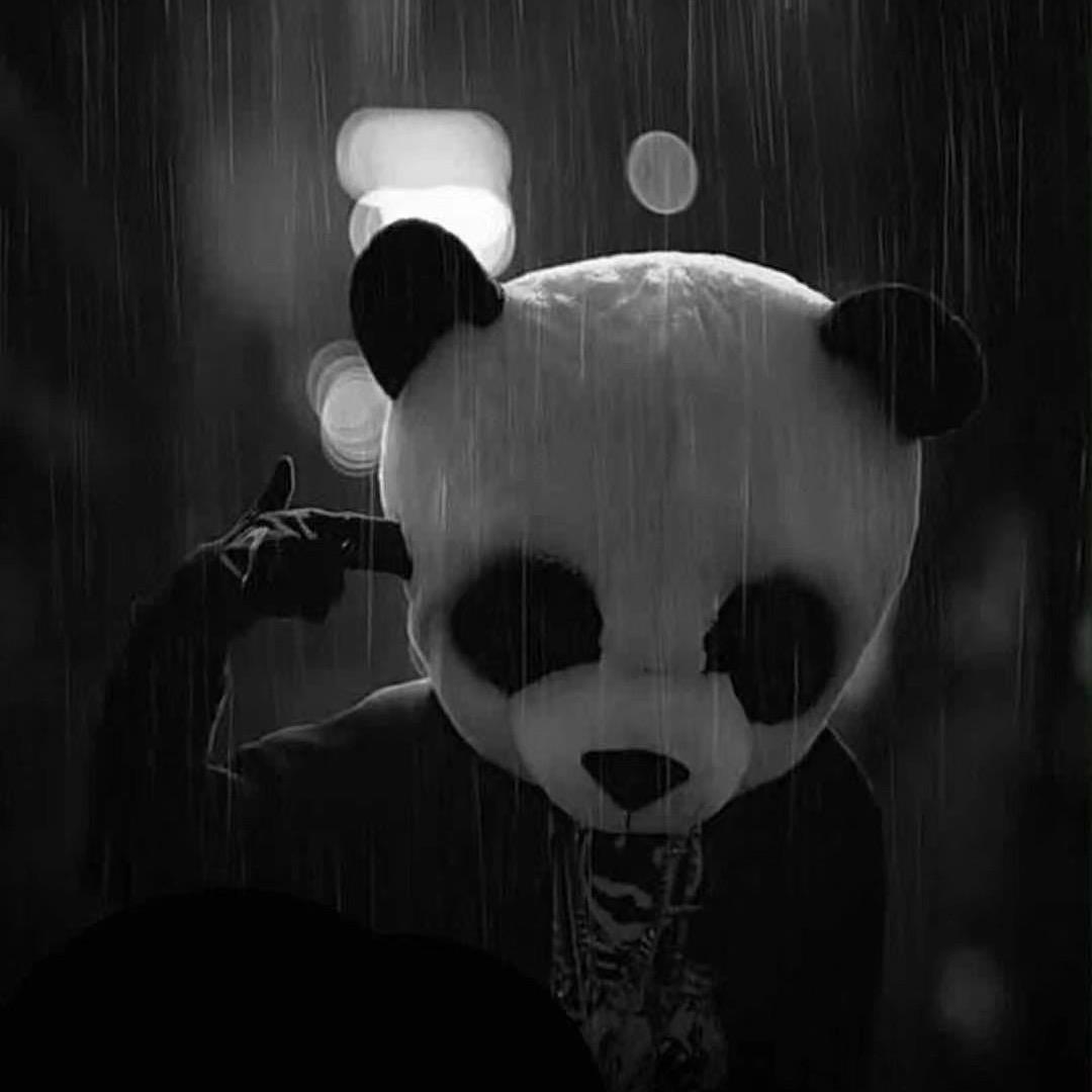 我有一个想法