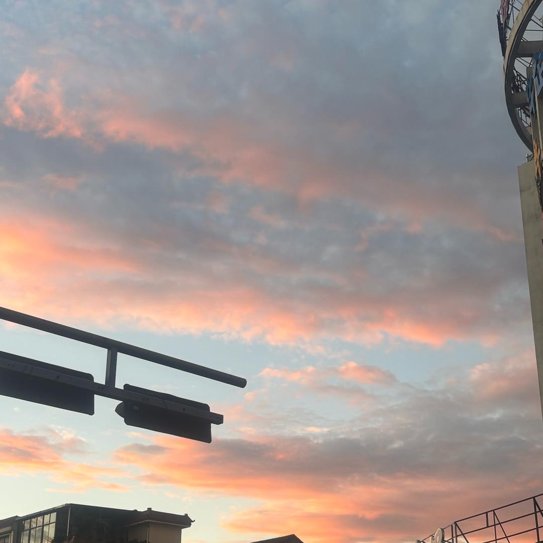 大宝二宝（小白