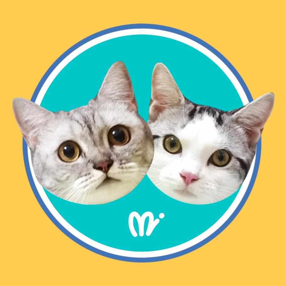 肉猪Bobo说猫猫