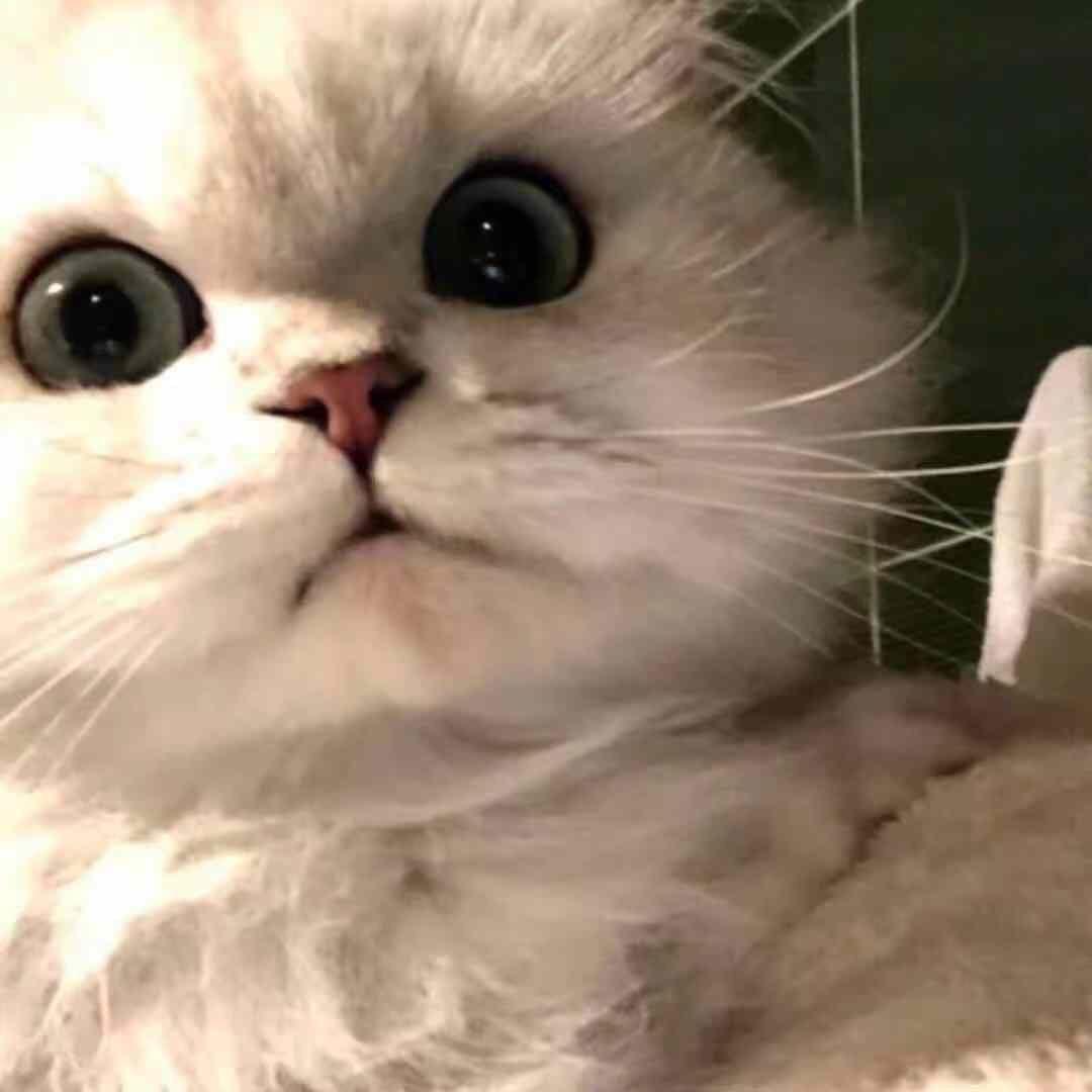 小满