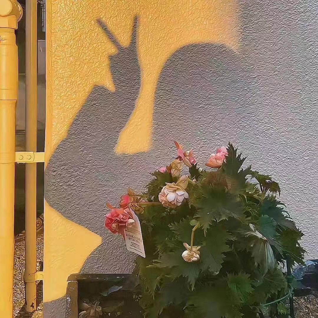 爱啃爪爪