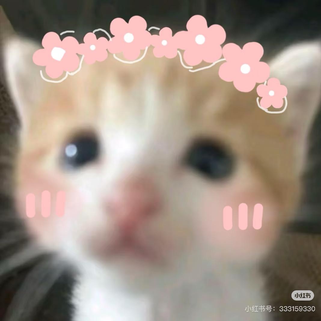蛋黄小包