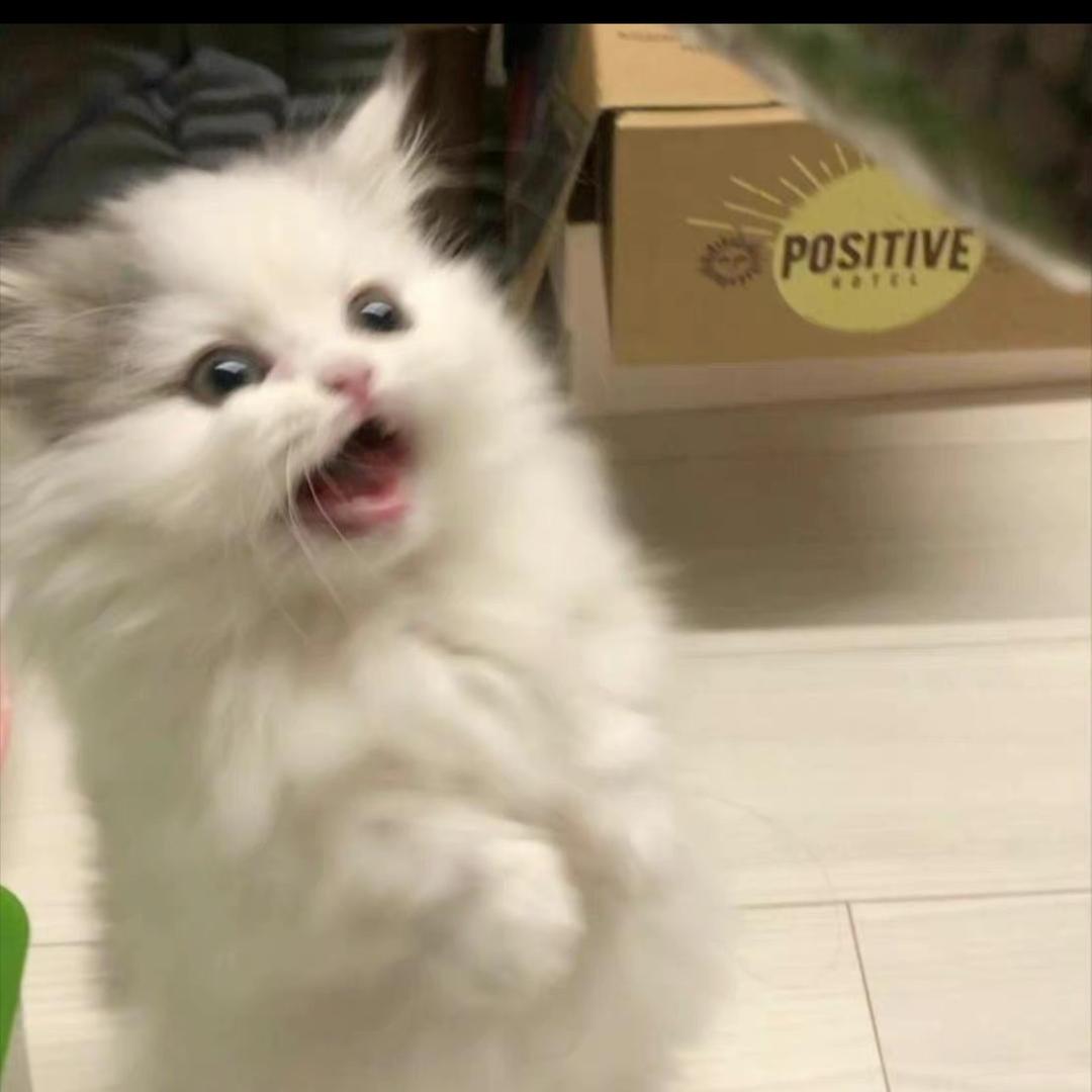 il