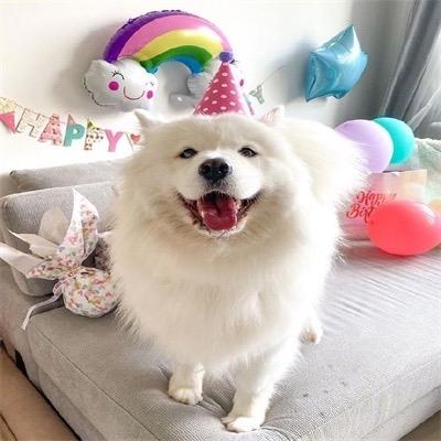 王若稀🌟