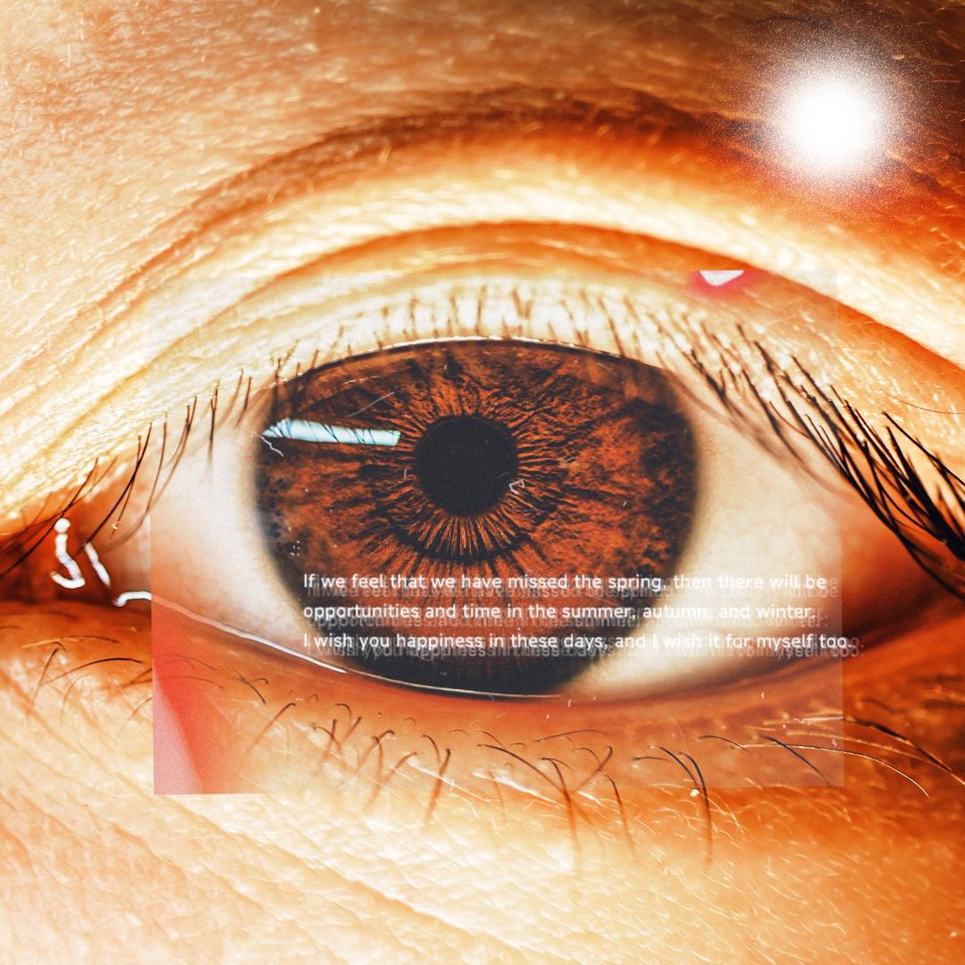 夹心玉米的咔嚓世界