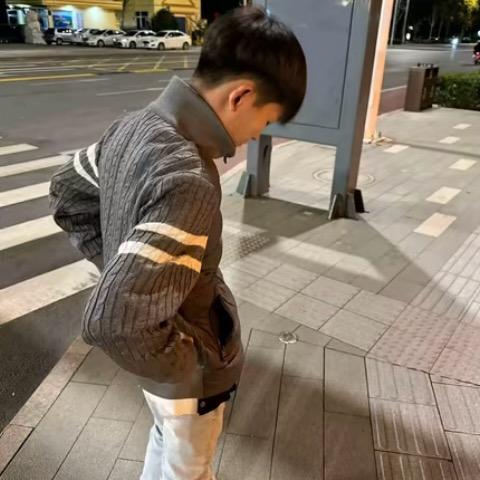再见莫妮卡