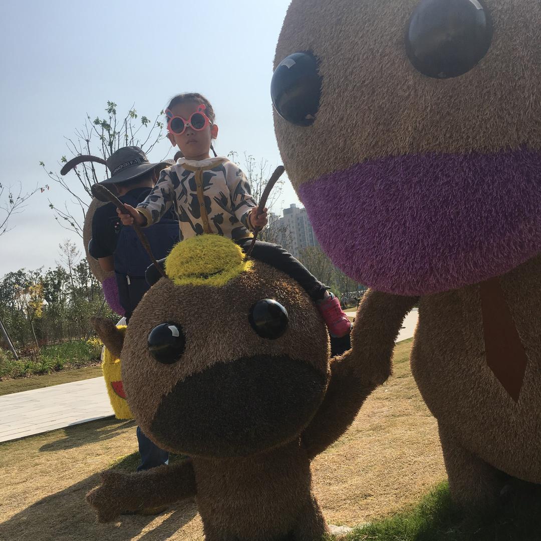 小糖糖