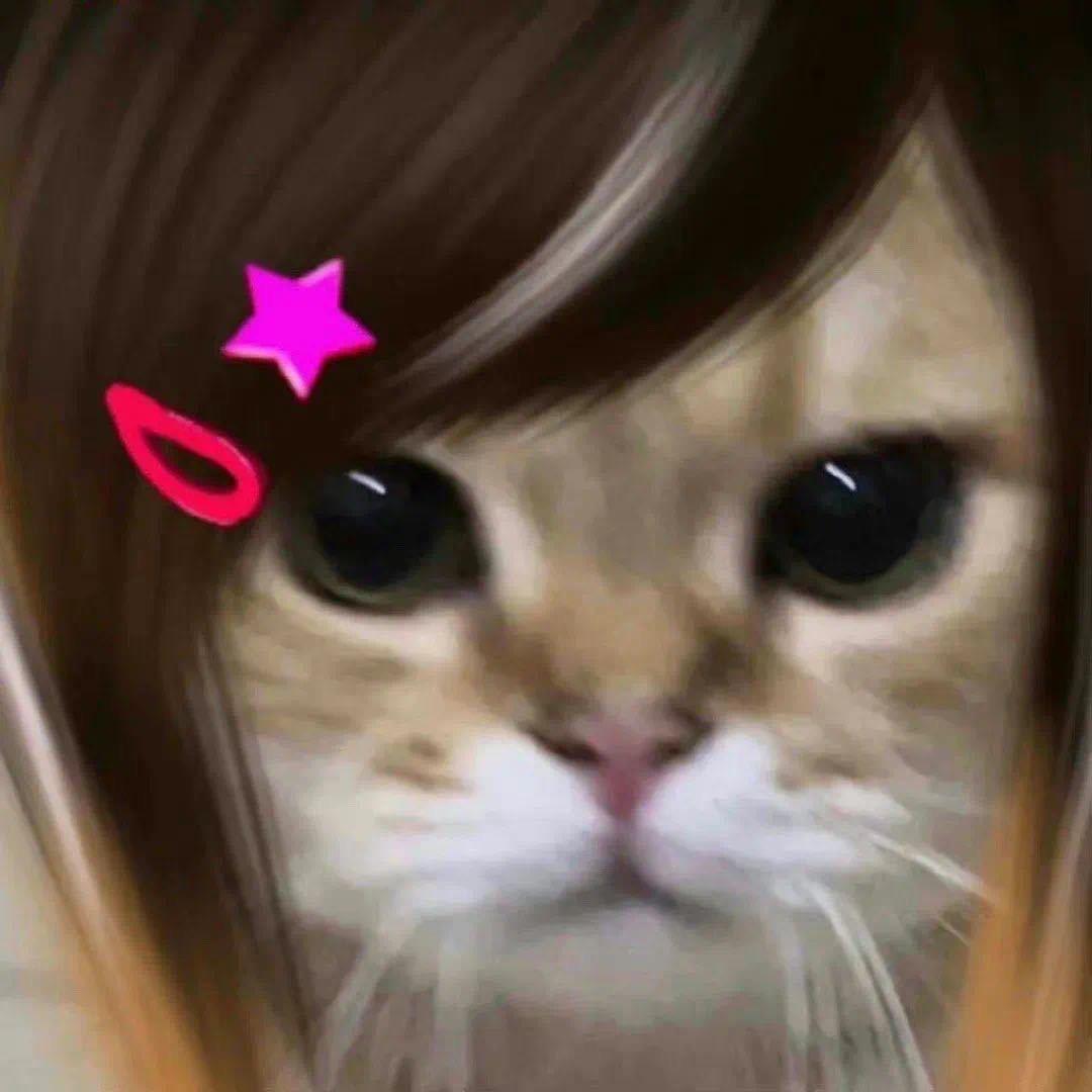 Yy