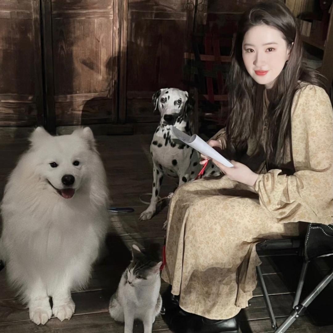 是只困屁熊●‿●